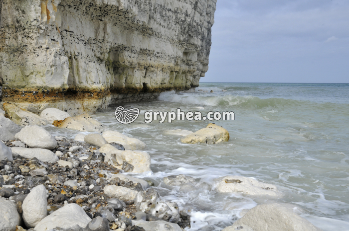 Erosion d'une falaise de craie par les vagues - encoche d'érosion à marée haute - gryphea.org